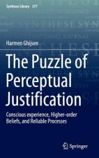 Puzzle of Perceptual Justification