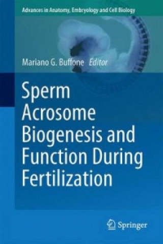 Sperm Acrosome Biogenesis and Function During Fertilization