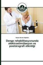 Denge rehabilitasyonunda elektrostimulasyon ve posturografi etkinliği