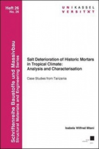 Salt Deterioration of Historic Mortars in Tropical Climate: Analysis and Characterisation