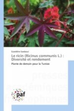 Le ricin (Ricinus communis L.) : Diversité et rendement