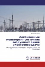 Lokacionnyj monitoring sostoyaniya vozdushnyh linij jelektroperedachi
