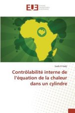 Controlabilite Interne de l'Equation de la Chaleur Dans Un Cylindre