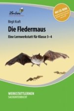 Die Fledermaus, m. 1 CD-ROM
