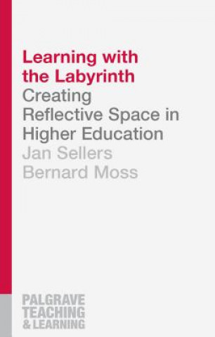 Learning with the Labyrinth