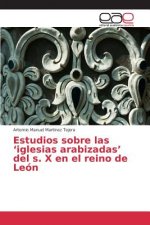 Estudios sobre las 'iglesias arabizadas' del s. X en el reino de Leon