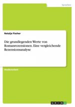 grundlegenden Werte von Romanrezensionen. Eine vergleichende Rezensionsanalyse