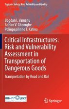 Critical Infrastructures: Risk and Vulnerability Assessment in Transportation of Dangerous Goods