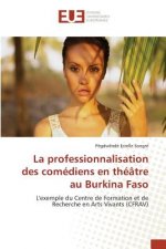 La Professionnalisation Des Comediens En Theatre Au Burkina Faso