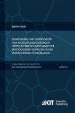 Schädigung und Lebensdauer von Nickelbasislegierungen unter thermisch-mechanischer Ermüdungsbeanspruchung bei verschiedenen Phasenlagen
