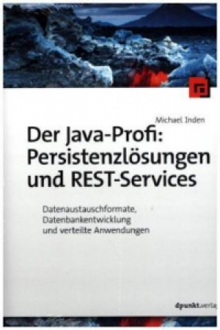 Der Java-Profi: Persistenzlösungen und REST-Services