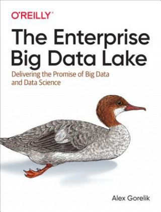 Enterprise Big Data Lake