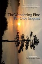Wandering Pine