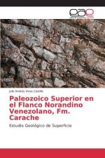 Paleozoico Superior en el Flanco Norandino Venezolano, Fm. Carache