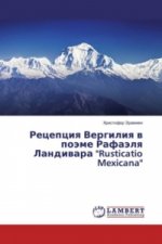 Recepciya Vergiliya v pojeme Rafajelya Landivara 