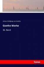 Goethe Werke