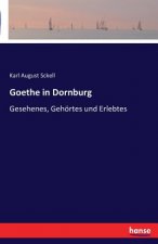 Goethe in Dornburg