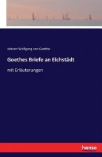 Goethes Briefe an Eichstadt