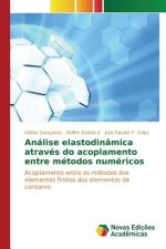 Analise elastodinamica atraves do acoplamento entre metodos numericos