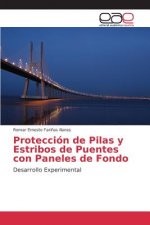 Proteccion de Pilas y Estribos de Puentes con Paneles de Fondo