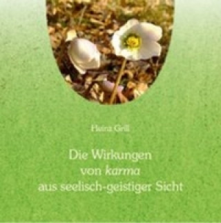 Die Wirkungen von karma aus seelisch-geistiger Sicht, 1 Audio-CD