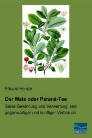 Der Mate oder Paraná-Tee