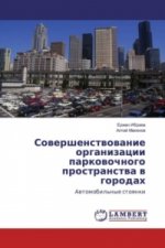 Sovershenstvovanie organizacii parkovochnogo prostranstva v gorodah