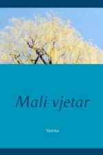 Mali Vjetar