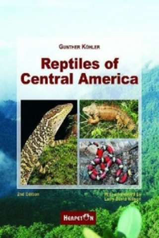 Reptiles Of Central America