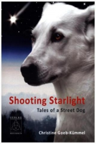 Shooting Starlight