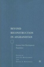 Beyond Reconstruction in Afghanistan