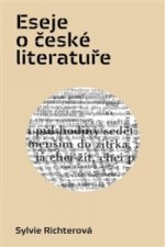 Eseje o české literatuře