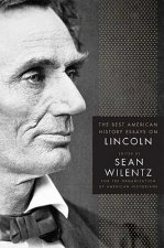 Best American History Essays on Lincoln