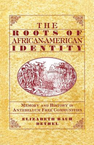 Roots of African-American Identity