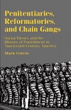 Penitentiaries, Reformatories, and Chain Gangs