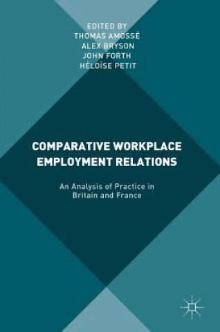 Comparative Workplace Employment Relations