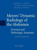 Meyers' Dynamic Radiology of the Abdomen