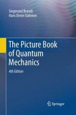 Picture Book of Quantum Mechanics