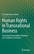 Human Rights in Transnational Business