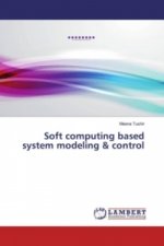 Soft computing based system modeling & control