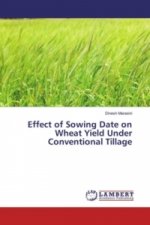 Effect of Sowing Date on Wheat Yield Under Conventional Tillage