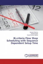 Bi-criteria Flow Shop Scheduling with Sequence Dependent Setup Time