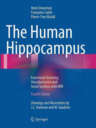 Human Hippocampus