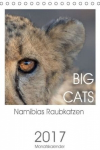 BIG CATS - Namibias Raubkatzen (Tischkalender 2017 DIN A5 hoch)