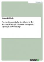 Psychodiagnostische Verfahren in der Sonderpadagogik. Foerderschwerpunkt geistige Entwicklung