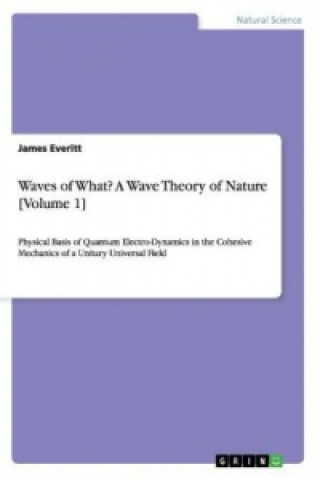 Waves of What? A Wave Theory of Nature [Volume 1]