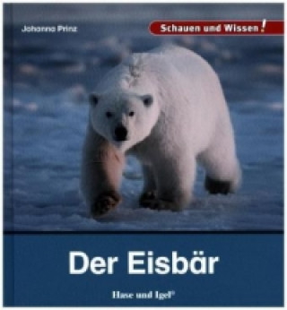 Der Eisbär