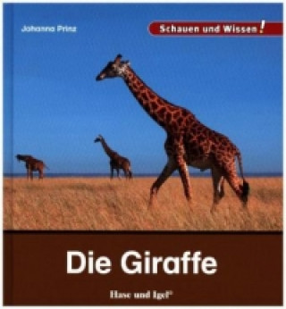 Die Giraffe