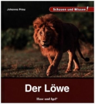 Der Löwe
