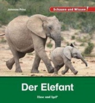 Der Elefant